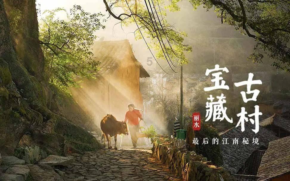 泽卡高准翼签3年!卡扎2年!海口训练惊艳 申花薅来现役国脚+多面手外援