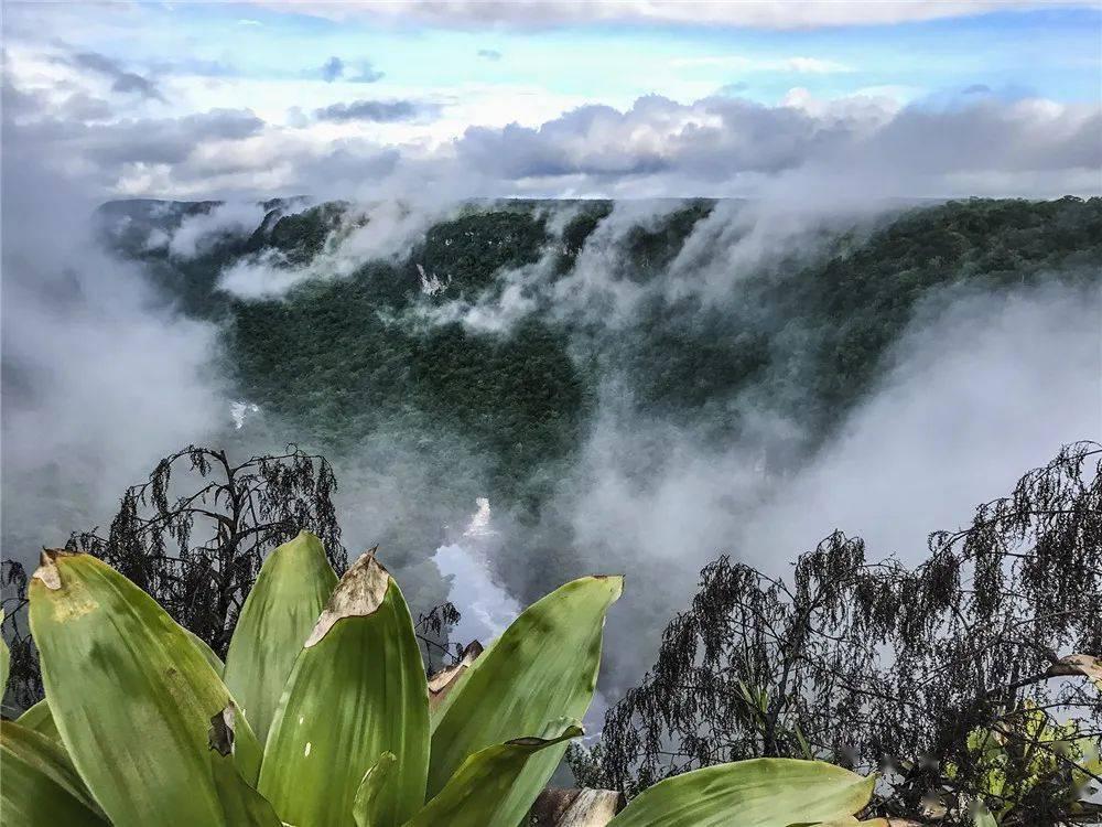 极限竞速地平线3